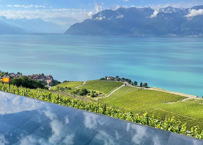 Baron Tavernier Hotel Restaurant&SPA