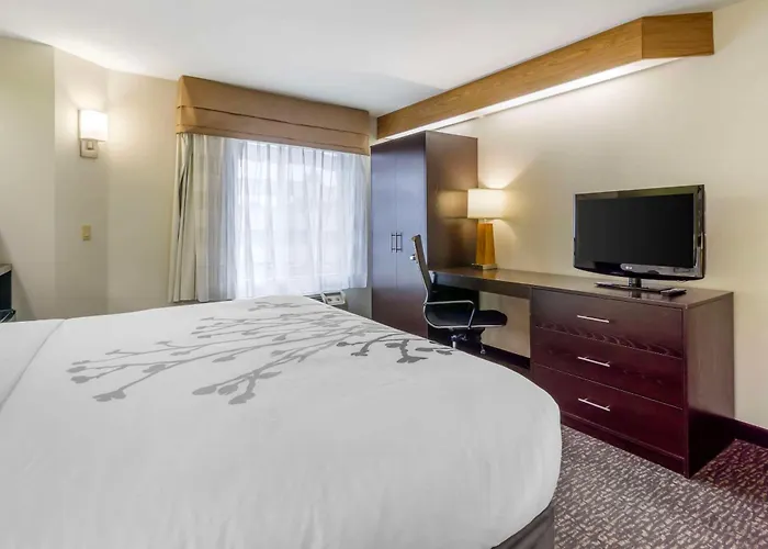 Sleep Inn Sea Tac Airport SeaTac