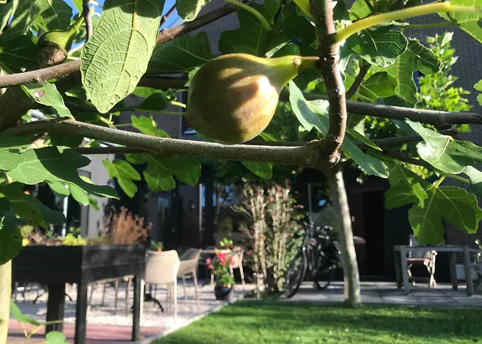 B&B De Pastorie bij Dokkum