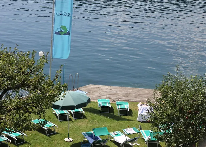 SEEGLÜCK Forelle Superior
