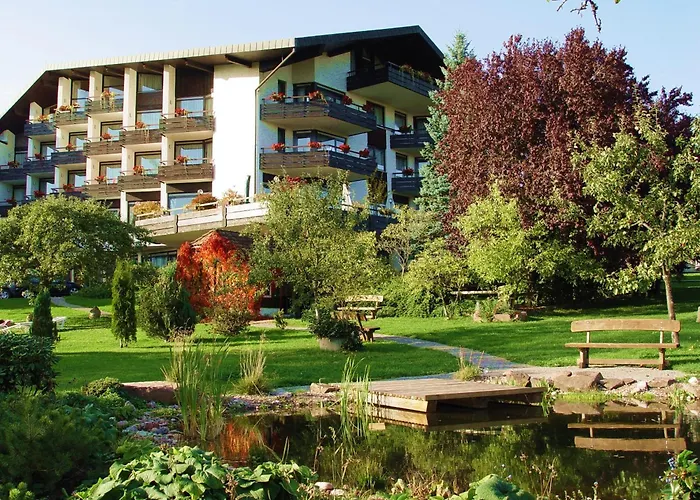 Schwanen Kälberbronn