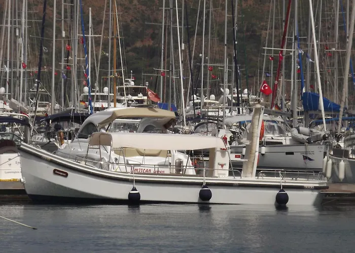 Alesta Yacht