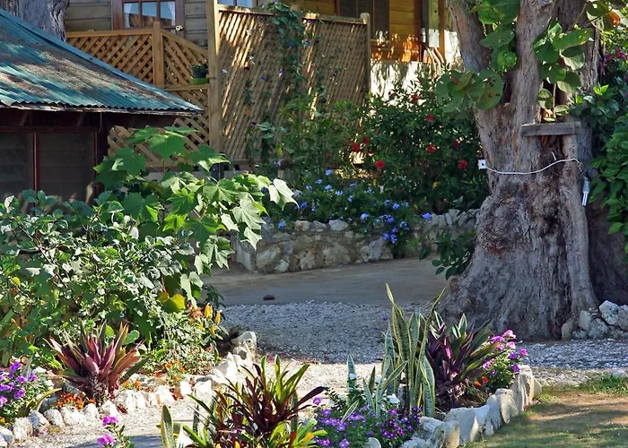 Catcha Falling Star Negril