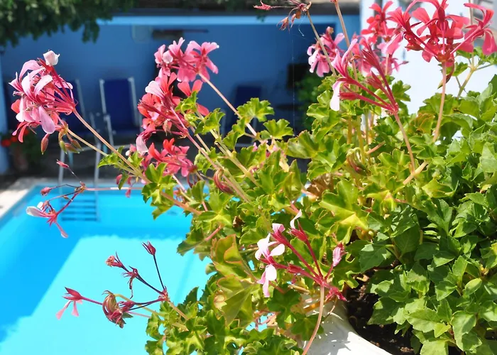 Villa Annamaria B&B Domaso