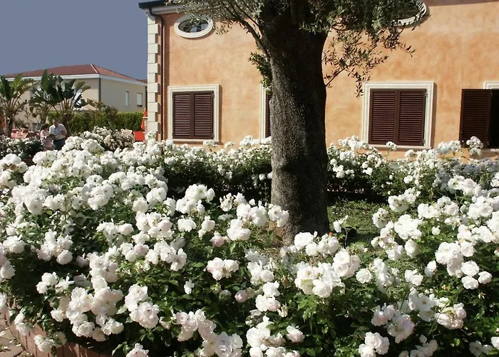 Residence Baia Infreschi Marina di Camerota