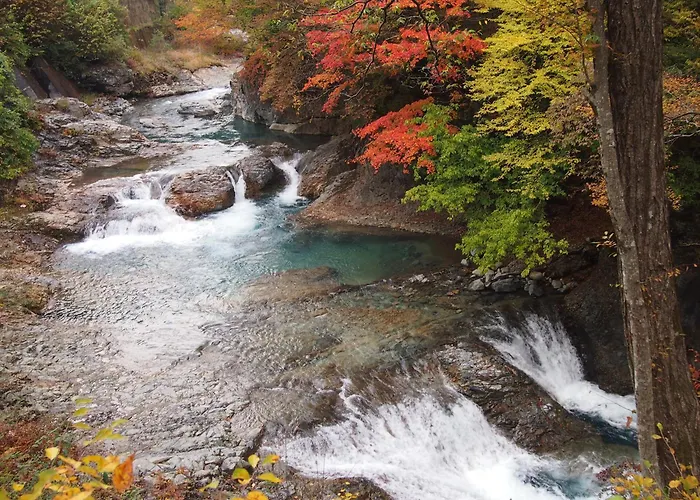 Shima Onsen Kashiwaya Ryokan