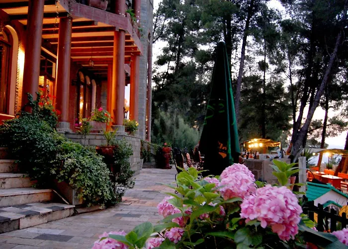 Hotel Castle Park