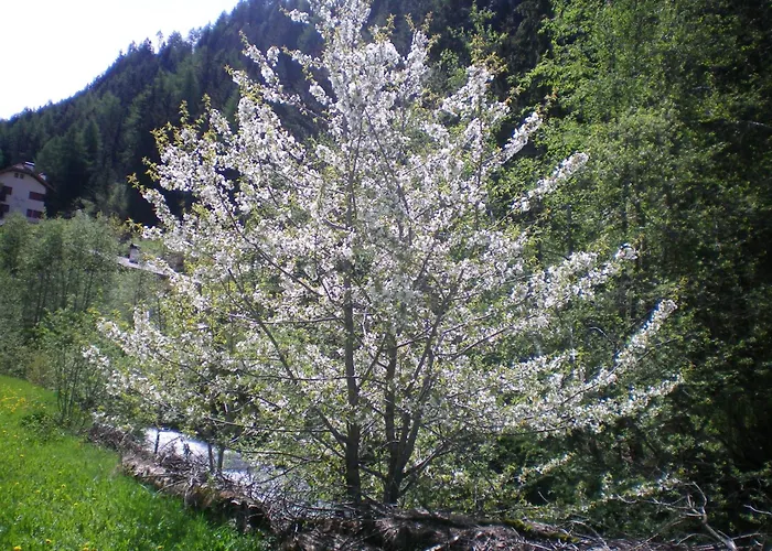 Villa Otto Santa Cristina Val Gardena