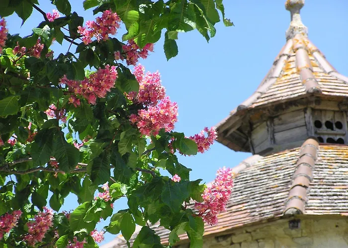 Domaine de L'Isle Basse