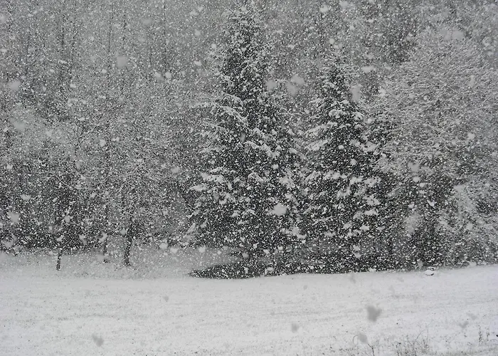 Villetta Val Di Sole Commezzadura