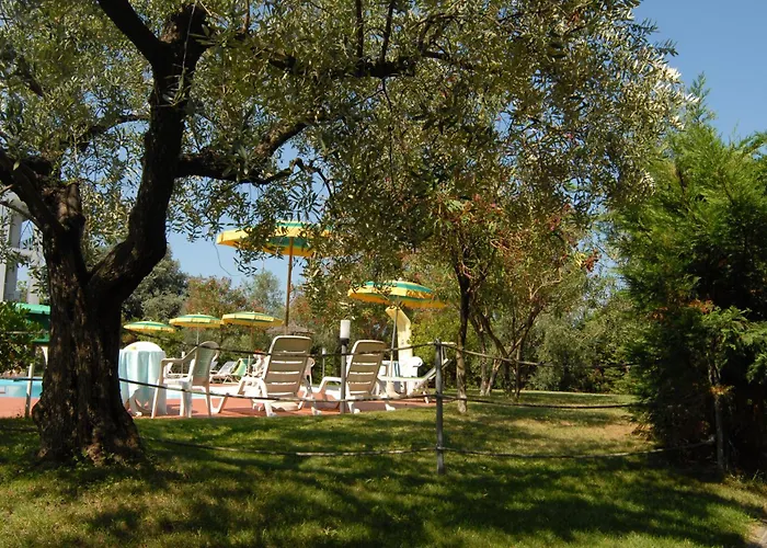 Parco Degli Ulivi