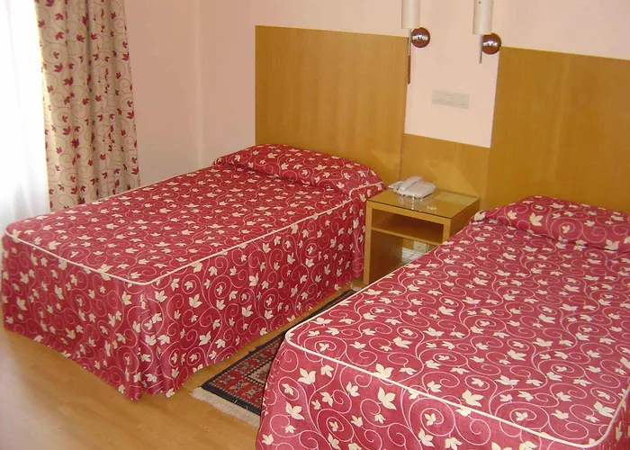 Hotel Alisa