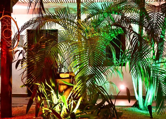 Pacha Boutique
