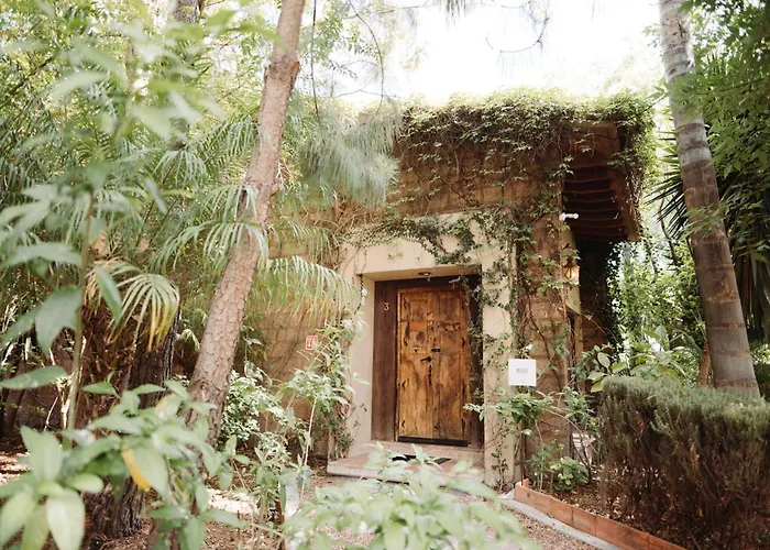 María&Bernardo Casa - Viñedo