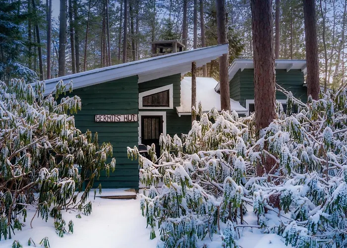 White Pine Camp