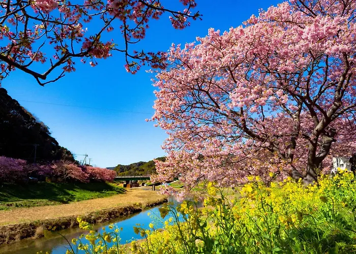 Hotel Izukyu Shimoda 