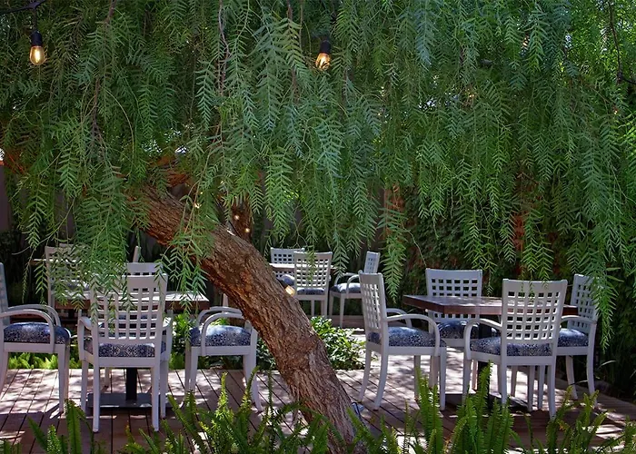 Alesia - Boutique Hotel & Spa Aguascalientes