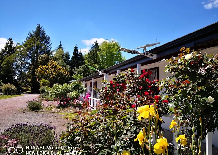 Amisfield Motel Tokoroa