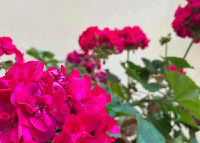 Cassisi Hotel Milazzo