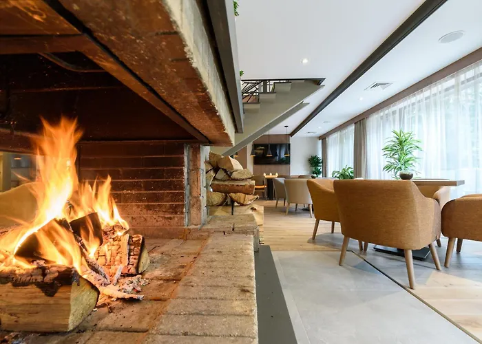 Lion Hotel Borovets