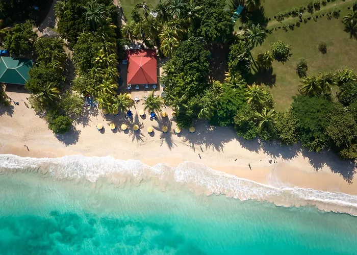 Mount Cinnamon Beach & Wellness Resort