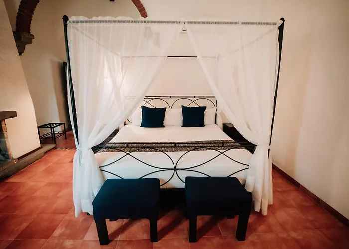 Hotel San Pedro Puebla Heroica Puebla de Zaragoza