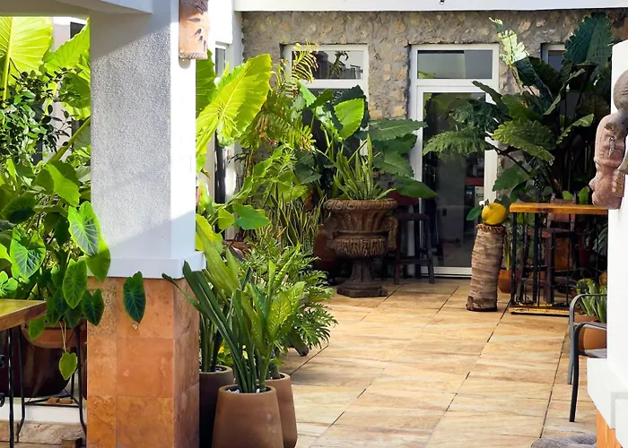 Quinta Alberto Boutique
