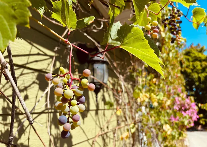 Auberge Sous Les Arbres