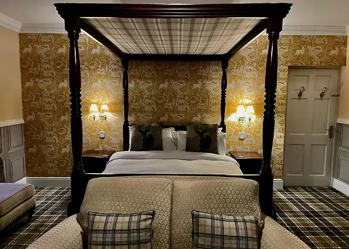 Highland Bear Lodge & Luxury Bear Huts
