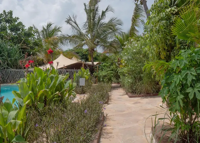 Nyumbani Residence Suites Jambiani 