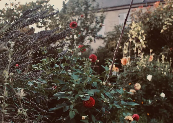Chez Ric et Fer