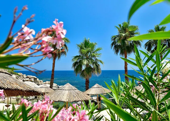 Arbatax Park Resort - Telis By Falkensteiner