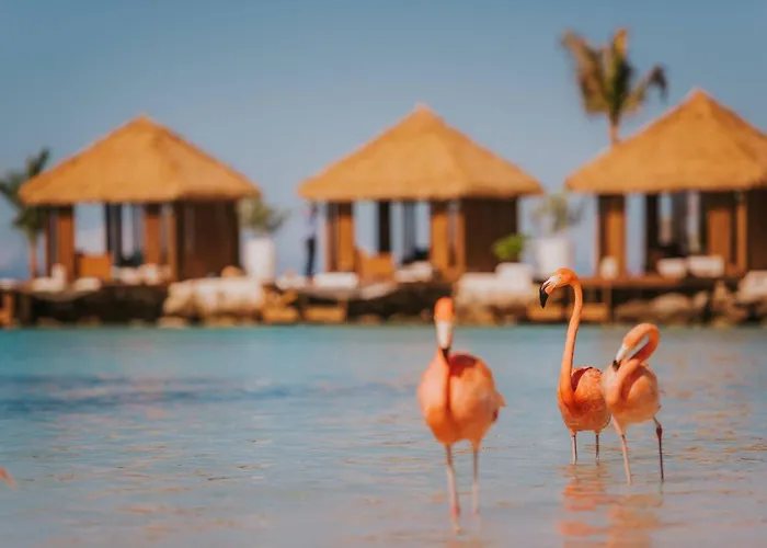 Renaissance Wind Creek Aruba Resort Oranjestad