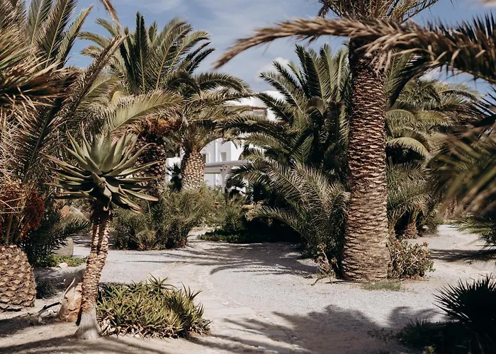 Medusa Beach Resort&Suites