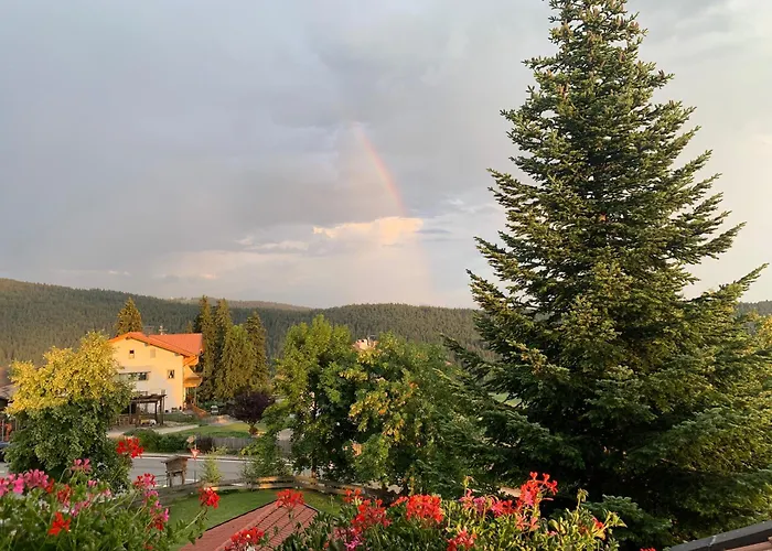 Albero Verde