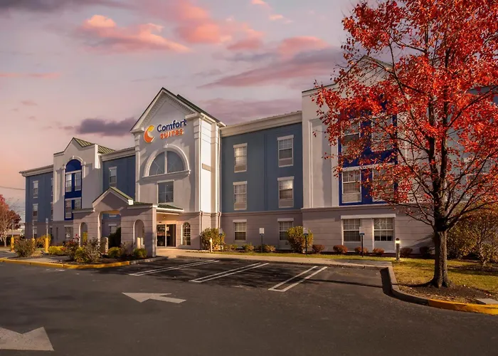 Comfort Suites East Brunswick - South River