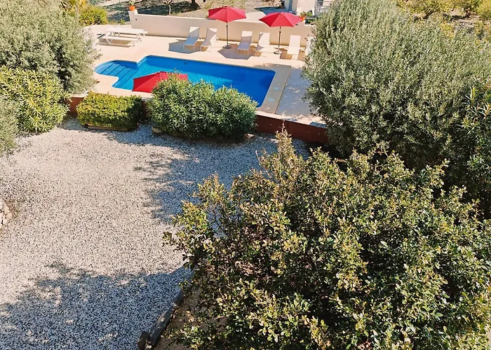 Finca Oliva