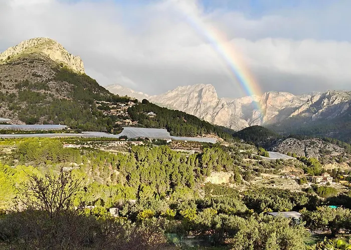 Finca Oliva Bolulla