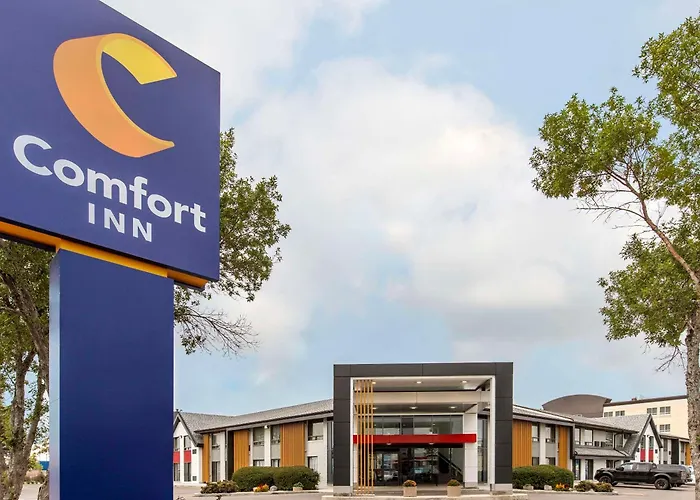 Comfort South