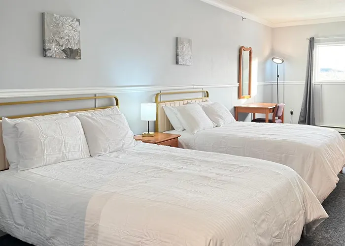 Elite Hotel -Downtown Center- "Ski & Northern Light Tour" "Hot Spring Tour "Long-Term Stay"