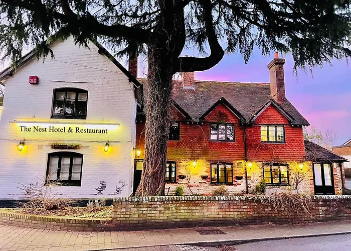 Nest & Restaurant