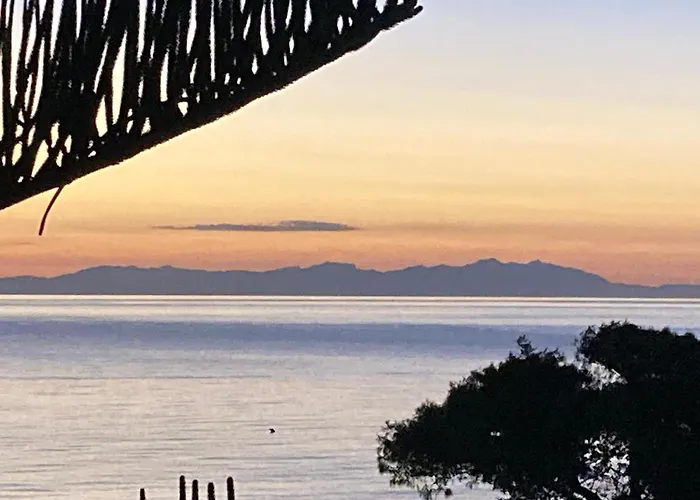 Bellavista