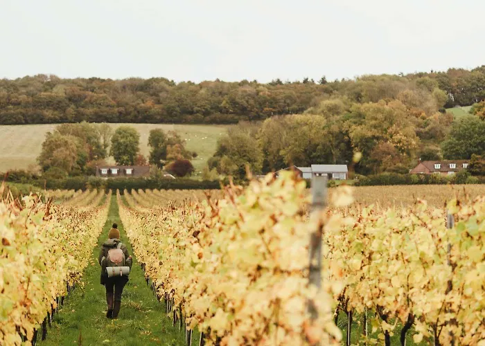 The Five Bells Inn Brabourne