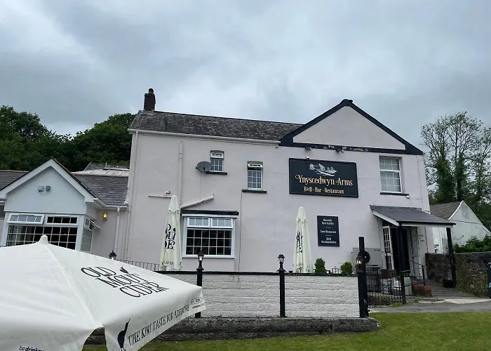 Ynyscedwyn Arms