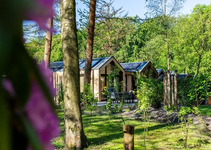 Résidence Lage Vuursche