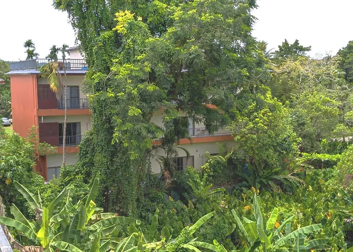 Garden Palace Downtown Koror