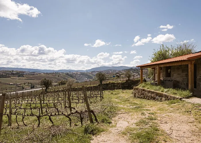Quinta Da Portela - Casa Visconde Arneiros - By Rowdhouses Lamego