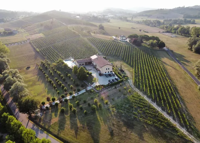 Villa Vigneto San Marzano Oliveto