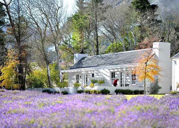 Lavender Farm Boutique Guest House Franschhoek