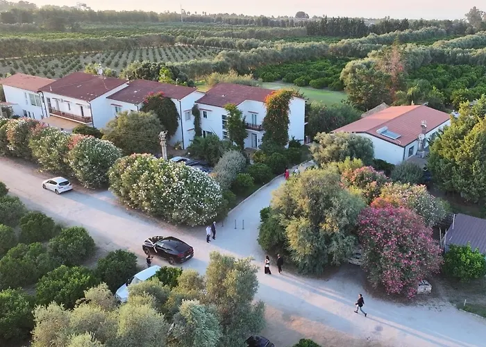Casa Solares